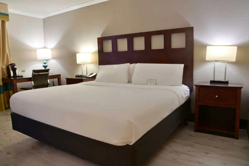Wyndham Garden Summerville - Général