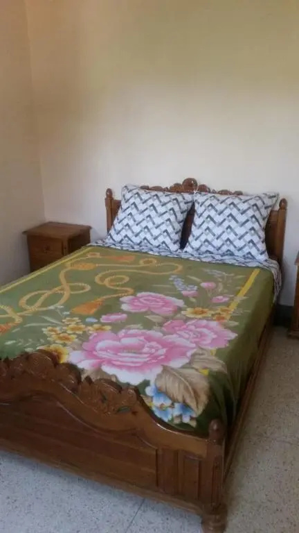 Standard Double room with lake view (full double bed)