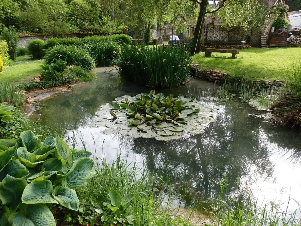 Le Clos Du Buisson