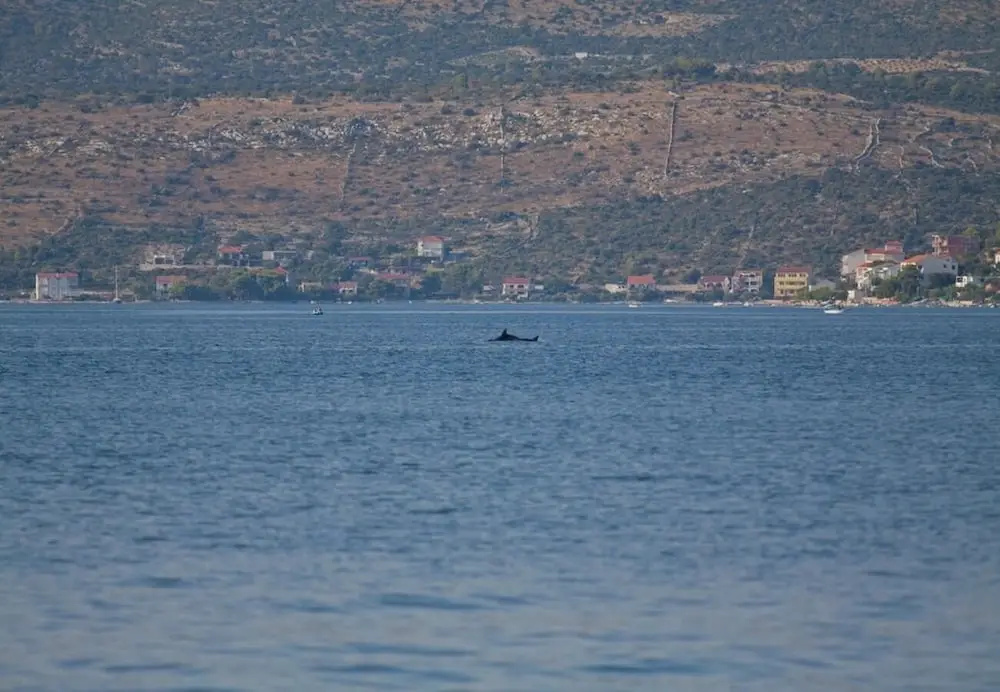 Vik - 60 m From the sea - A2
