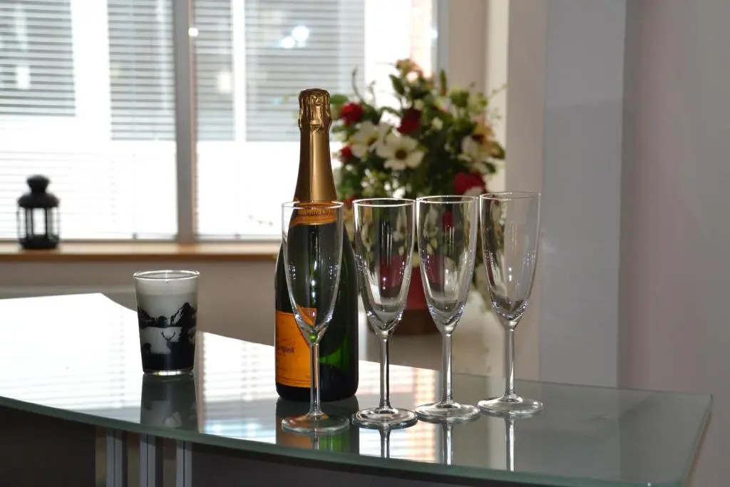 Deluxe Apartment