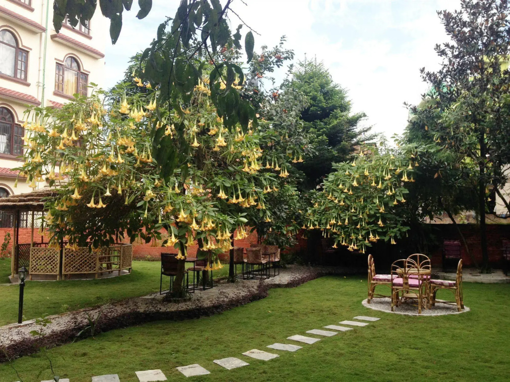 Hotel photo 9