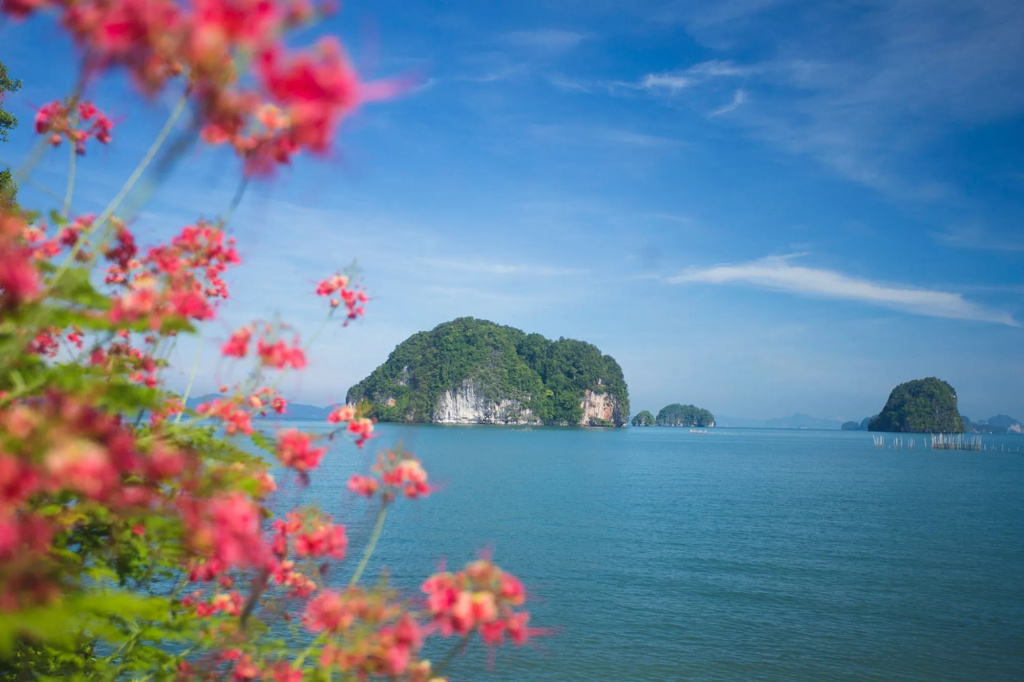 Beach & Waterfront