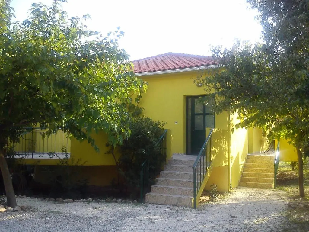 Family Studio