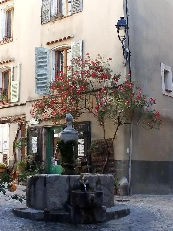 Le Vallon De Bargemon