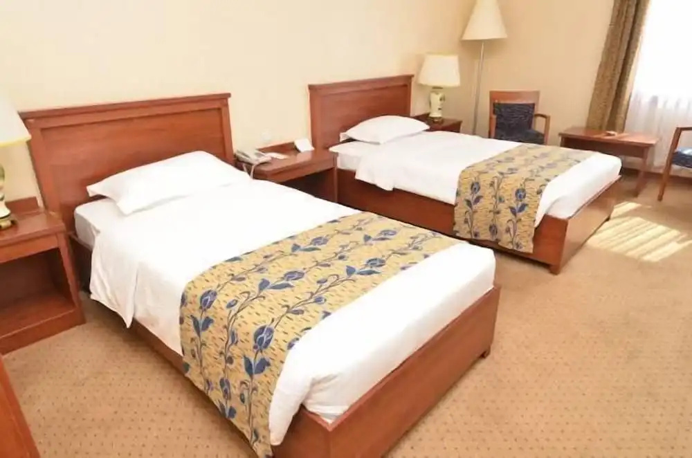 Akgun Elazig Hotel - Chambres