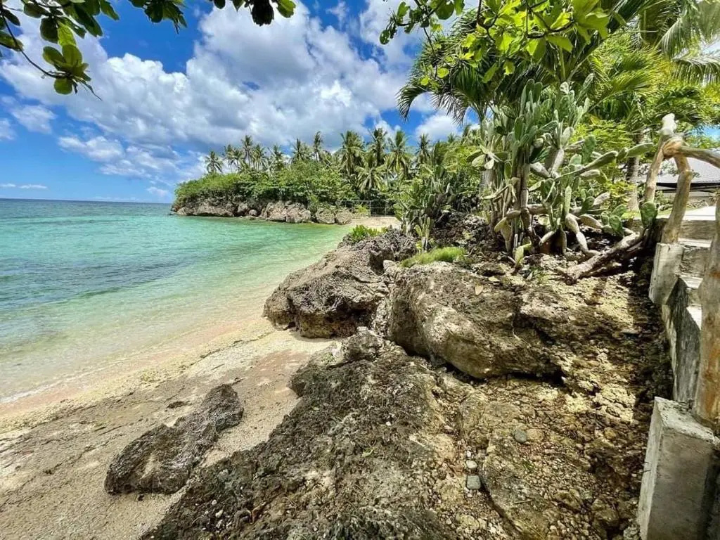 Beach & Waterfront