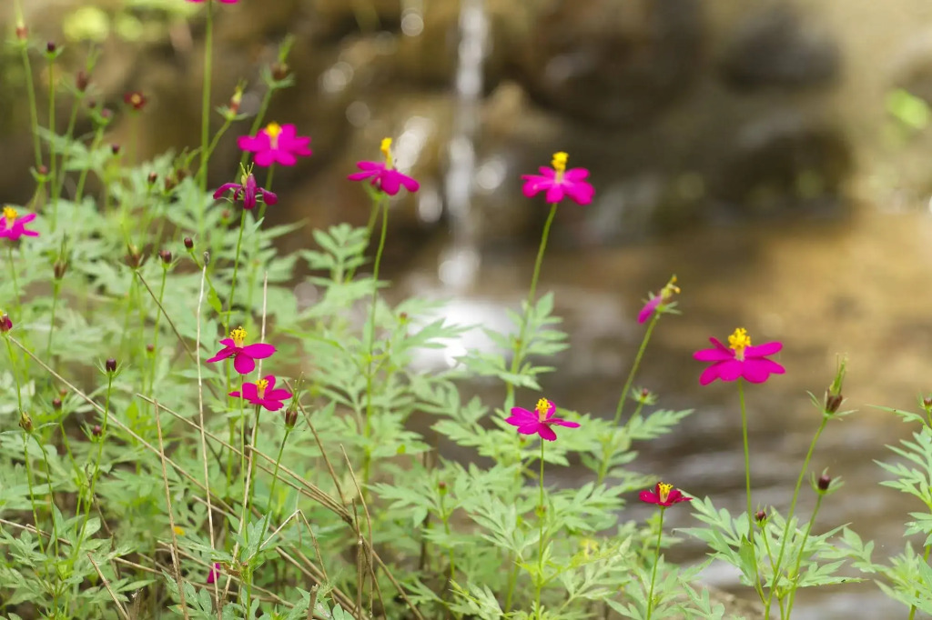 Villas Josipek - фото 24