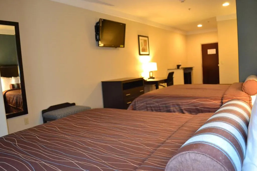 Quadruple Suite