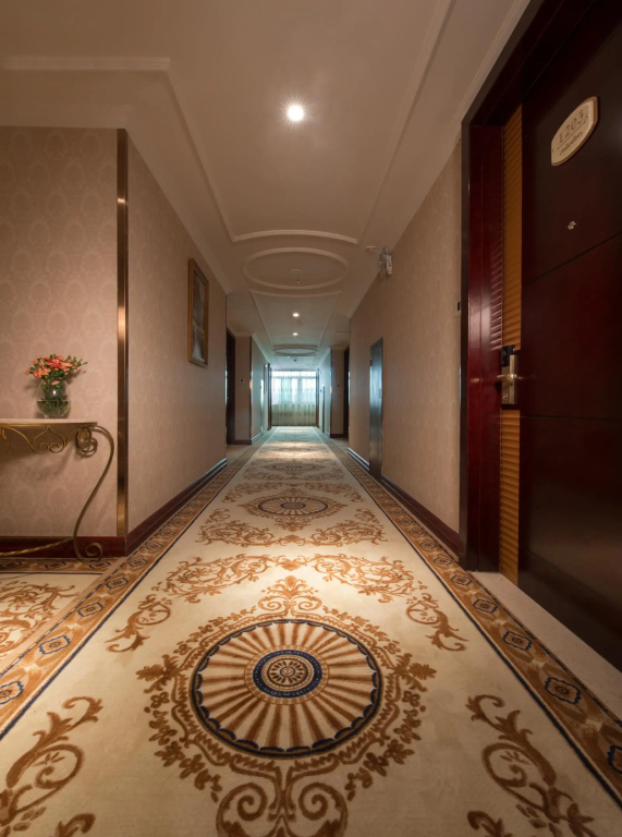 Vienna Hotel Shanghai Hongqiao Hub Jiading New City - Général