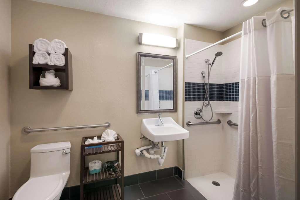 Sonesta ES Suites Dulles Airport - Général