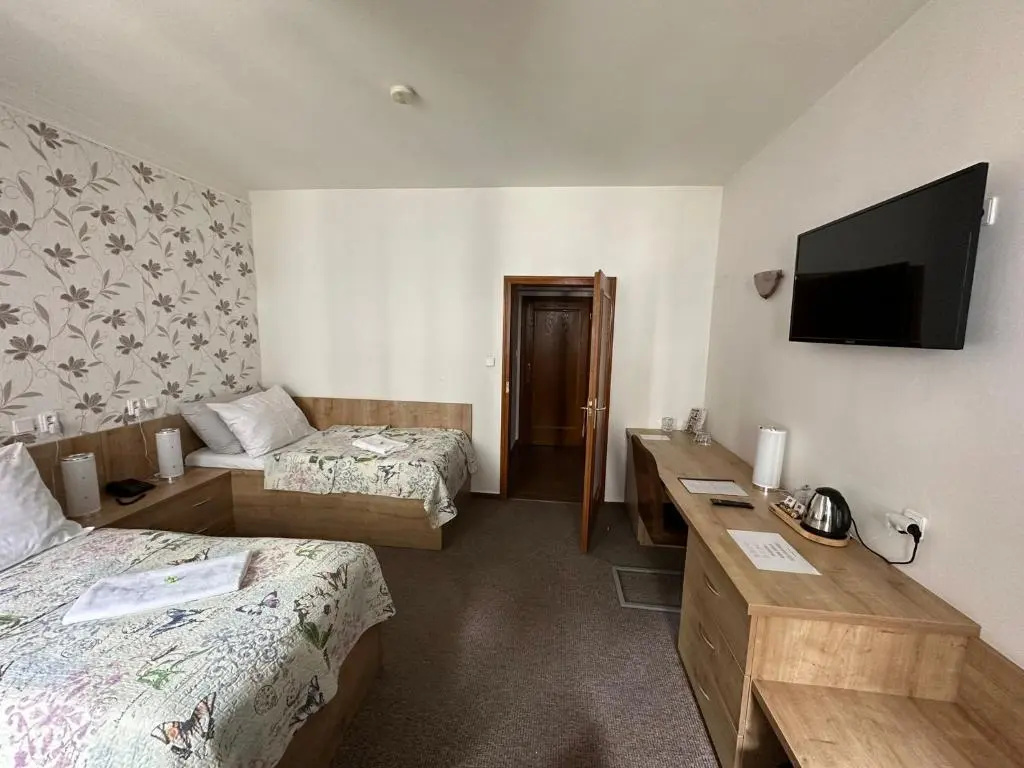 Standard Double room (twin beds)