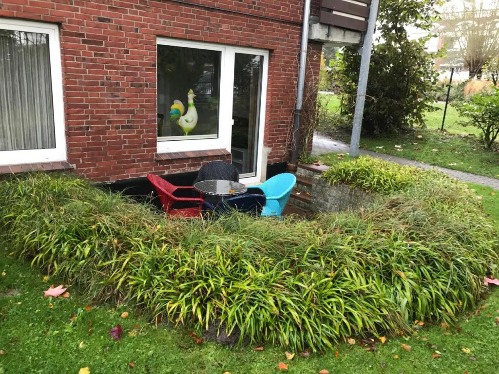 Image 13