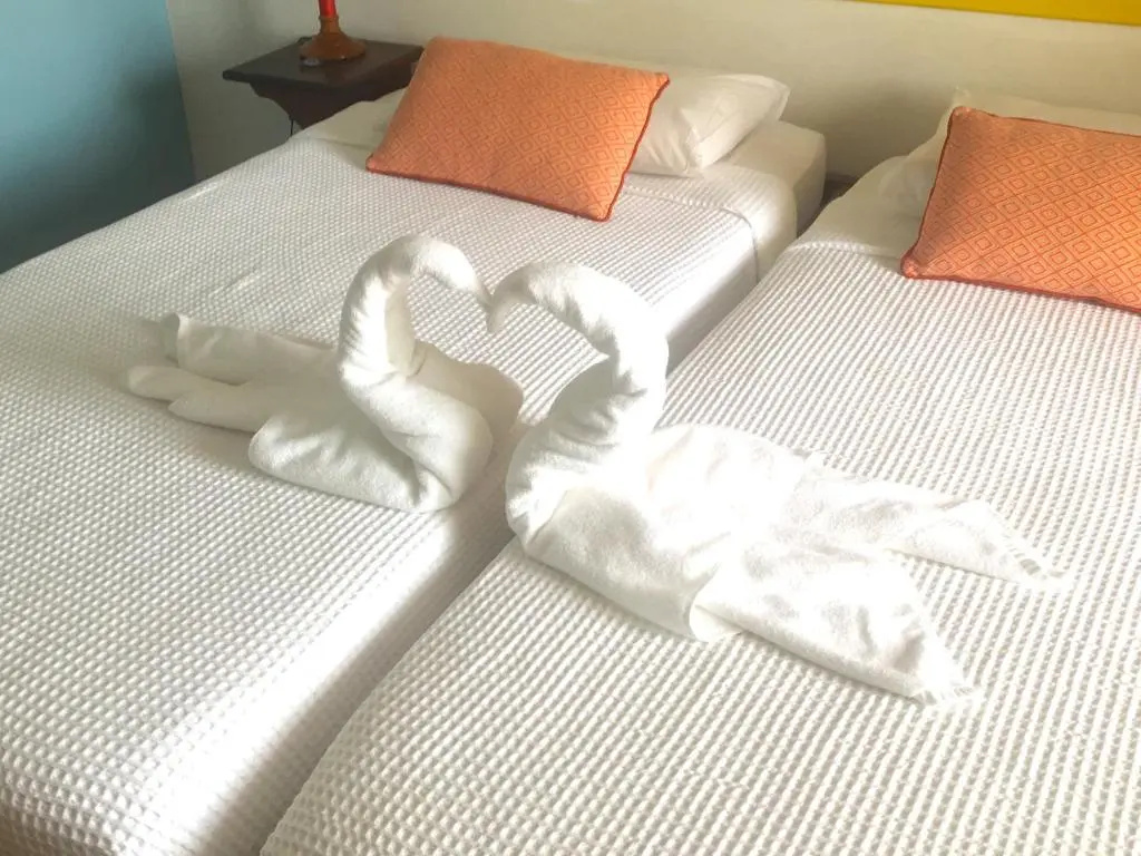 Standard Double room (twin beds)