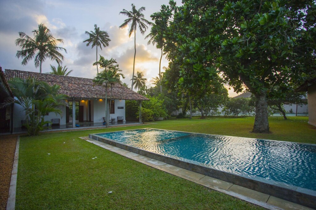 The Frangipani Tree By Edwards Collection