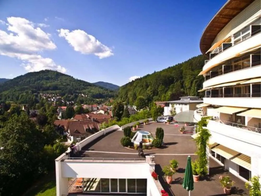 Schwarzwald Panorama - Général