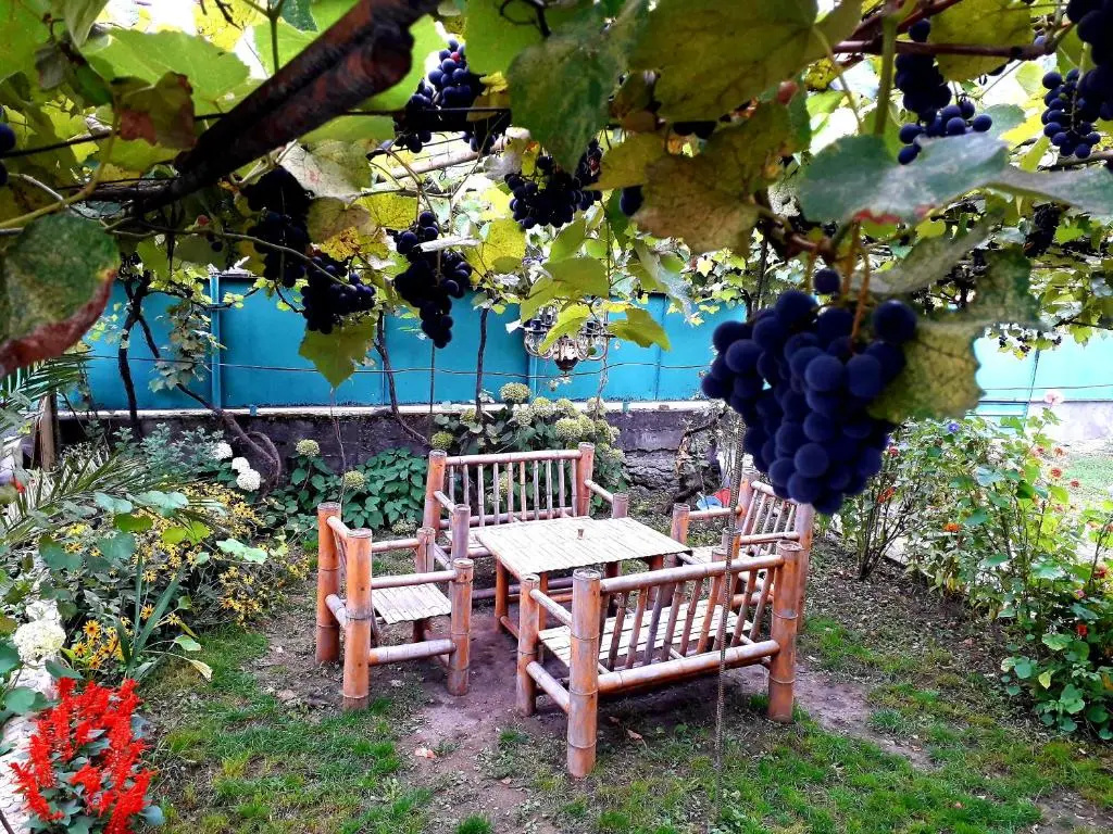 guesthouse metreveli - Chambres