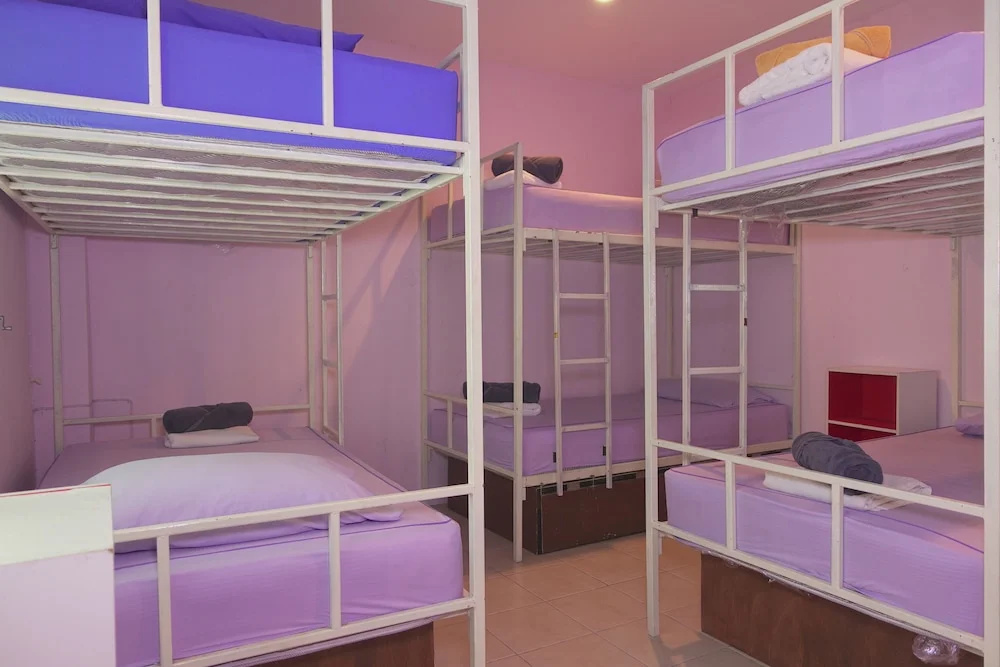 Bed in Dorm