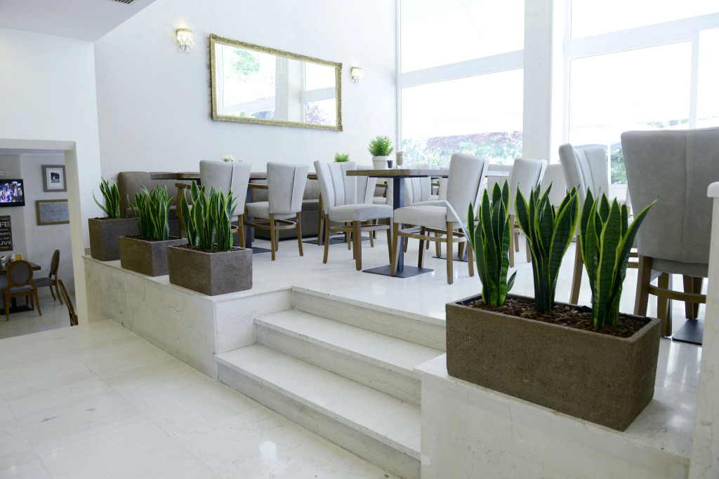 Phidias Hotel by Oniro by null