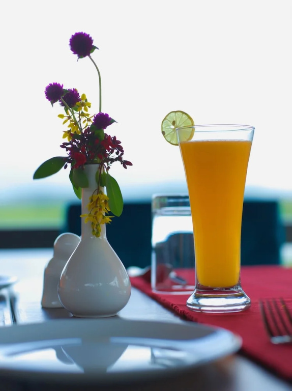 Vistara Resort - Général