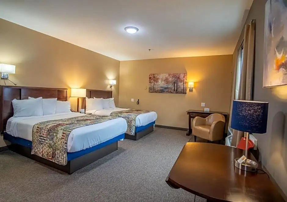 Hotel Dushore - Chambres