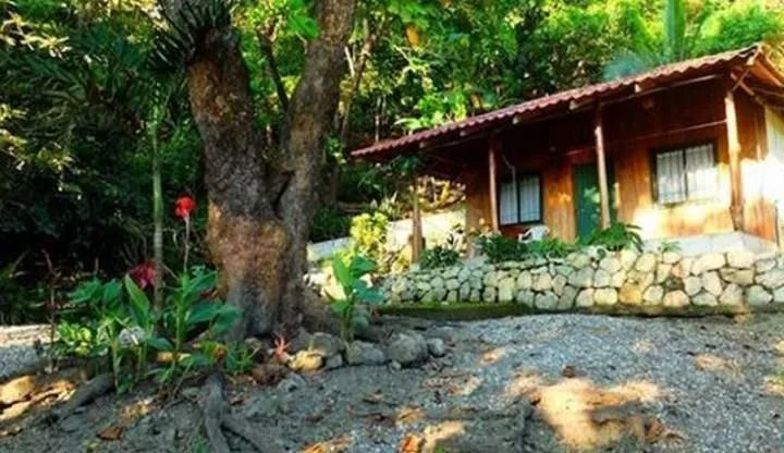 El Rey Patricio - фото 8