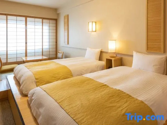 Standard Double room with city view (twin beds)