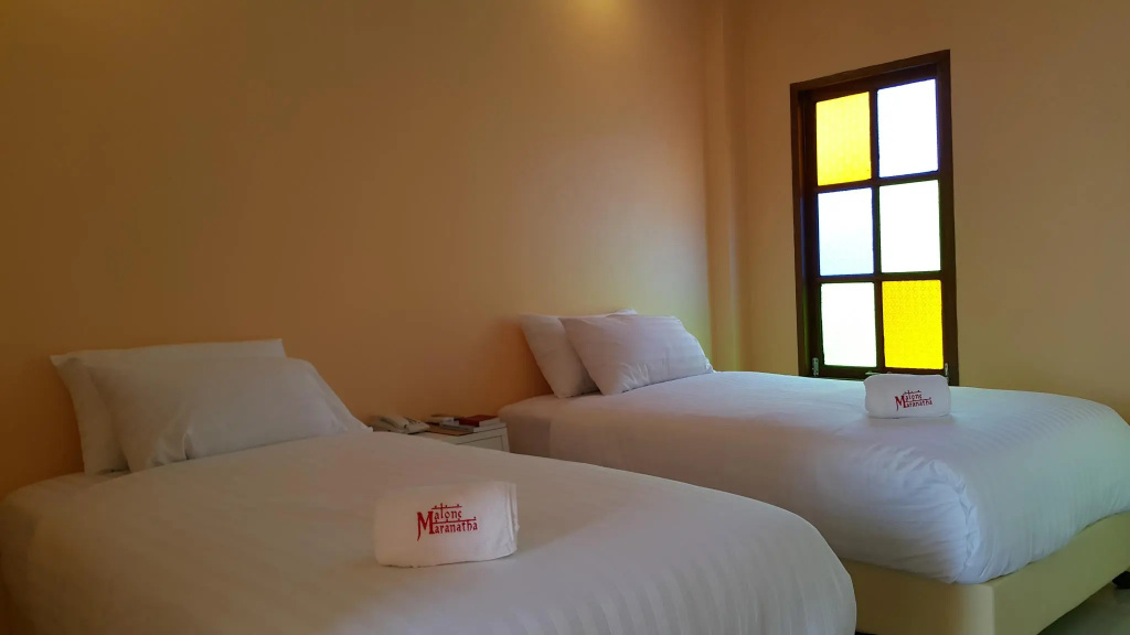Superior Double room (twin beds)