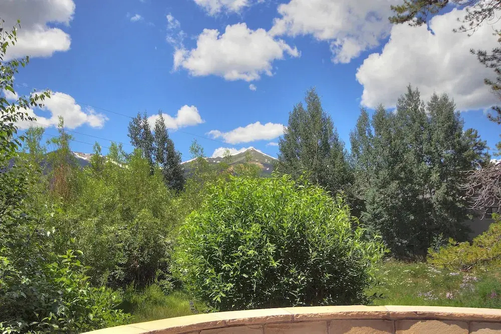 Trot Ski-House Main Street Private Home by Pinnacle Lodging