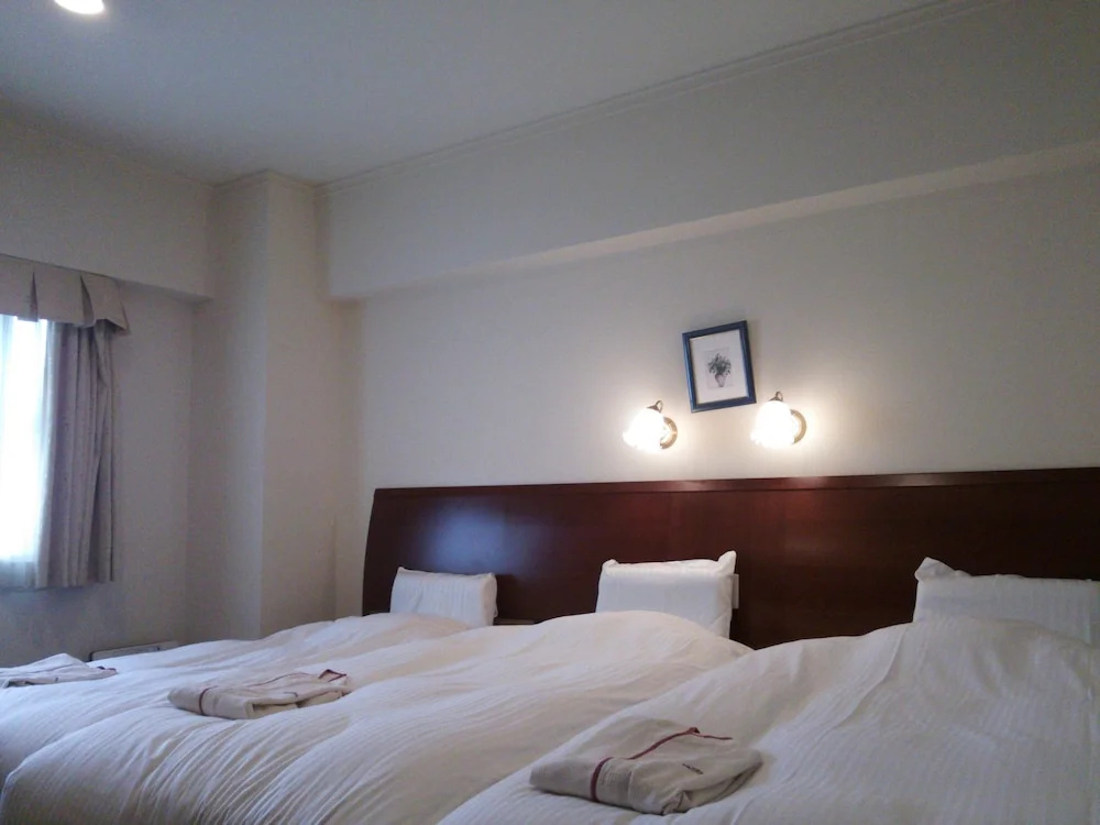 Deluxe Double room (twin beds)