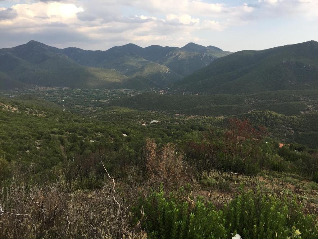 Poliani Village — 4