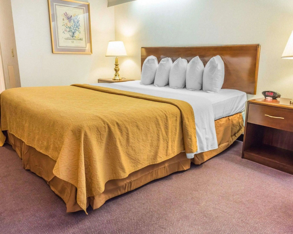 Quality Inn Royle — 5