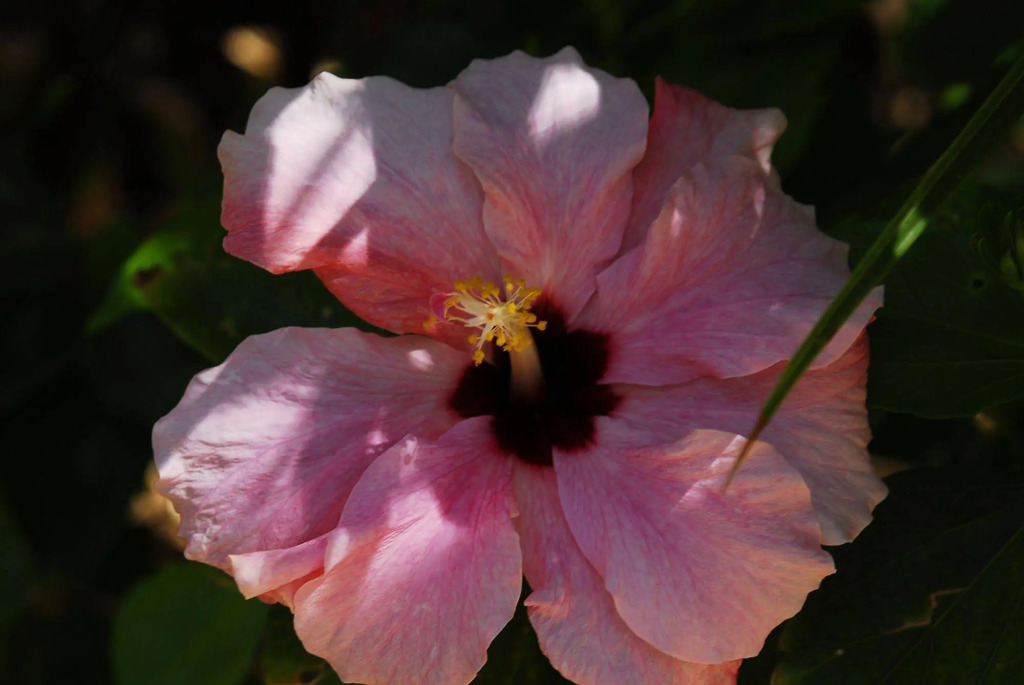 Image 27
