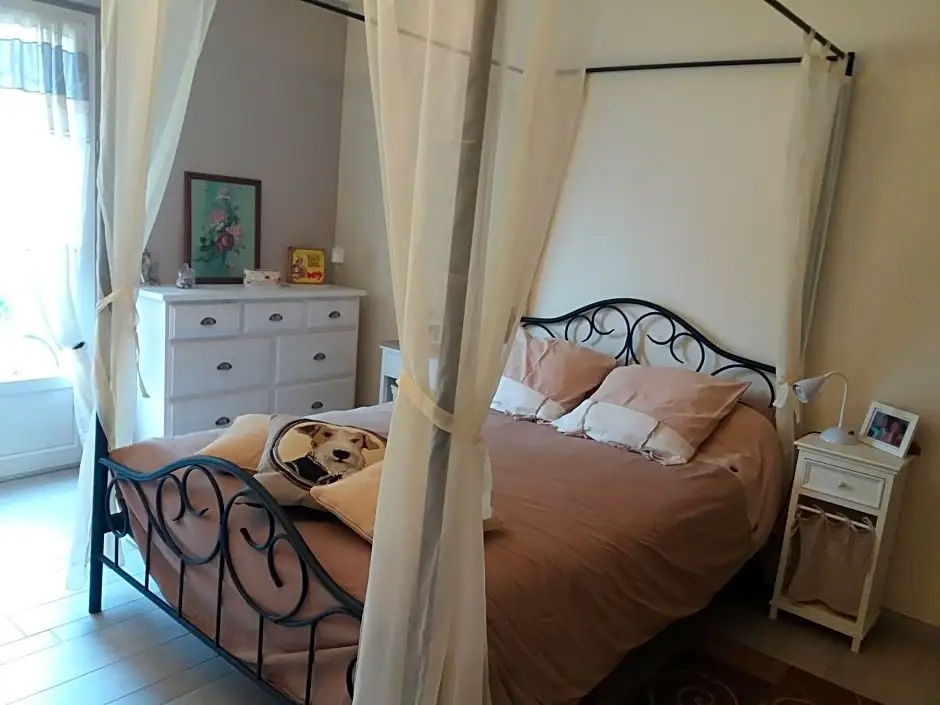 Voir la photo 2 — Les Mouettes 1 gite et 4 chambres d hote, jardin ,bords de Loire