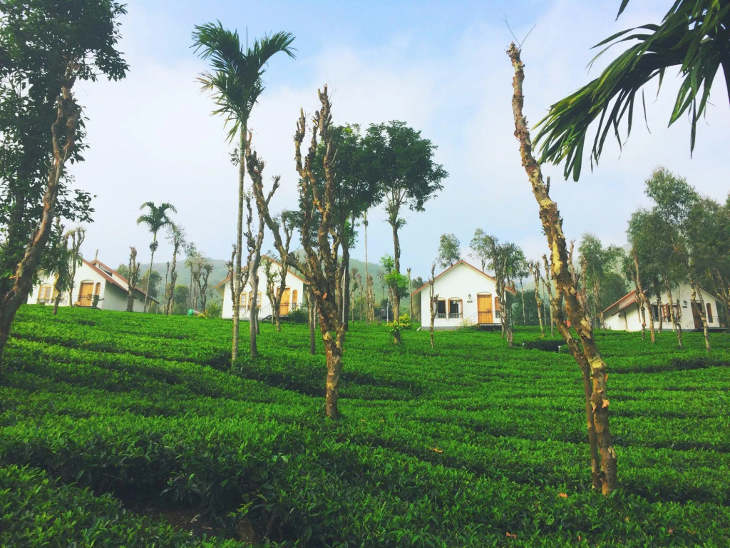 Tea Terrace Vythiri Resort