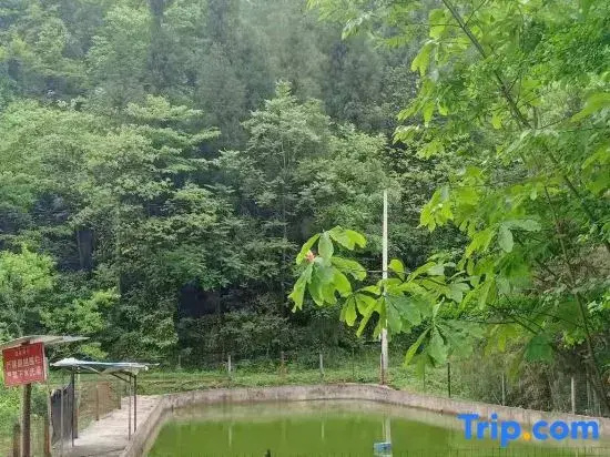 Chongqing Zhencheng Farm Stay