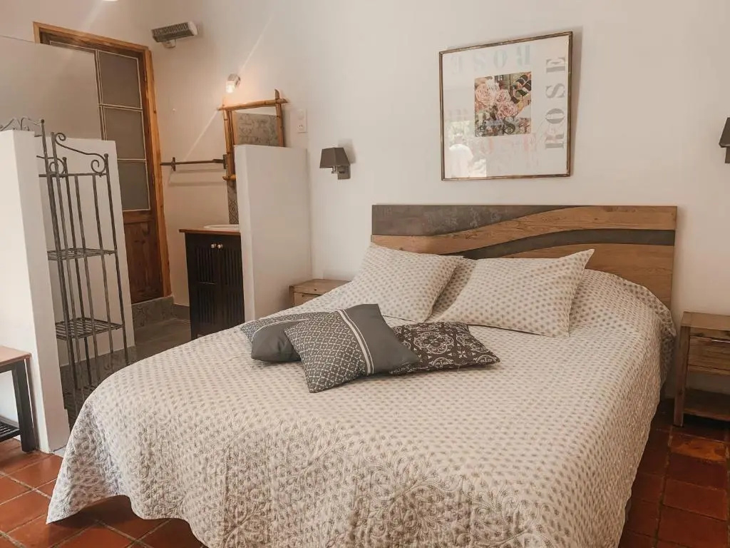Standard Double room (full double bed)