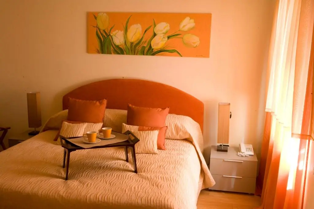 Standard Double room (full double bed)