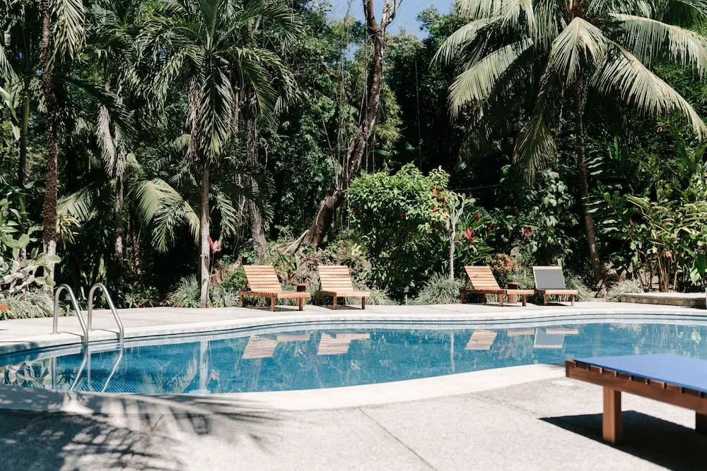 Star Mountain Jungle Lodge - фото 14