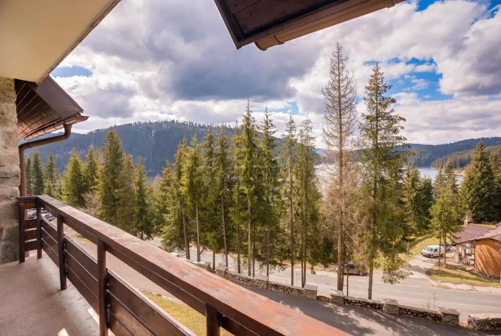 Standard Double room with lake view (full double bed)