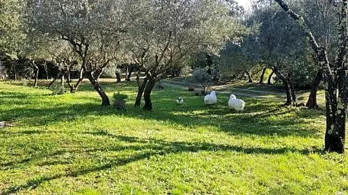 Pierres Blanches