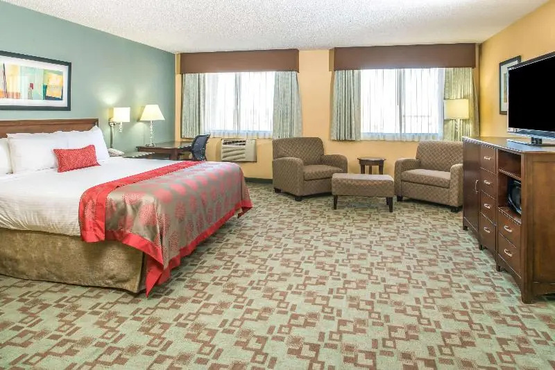 Superior Suite