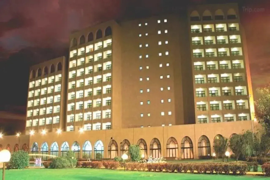 Ledger Plaza N'djamena - Général