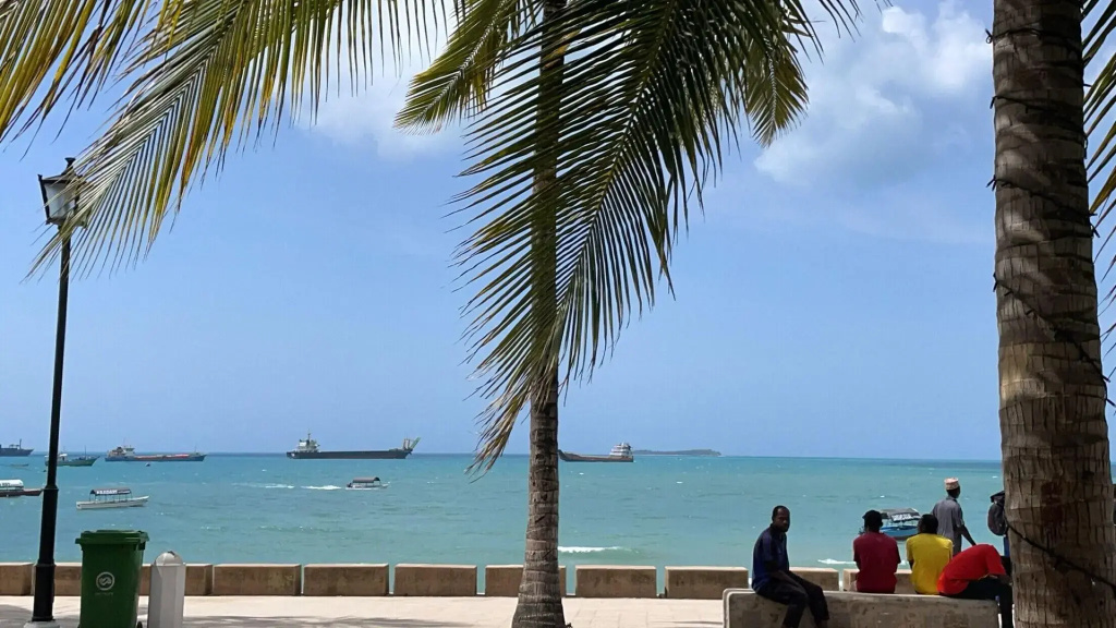 Mizingani Seafront Hotel - Général