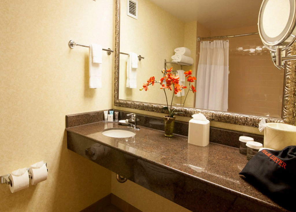 Delta Hotels by Marriott Anaheim Garden Grove - Général