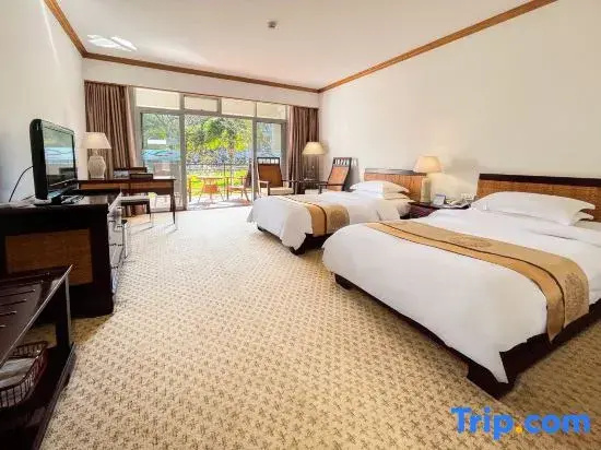 Standard room with balcony and with view