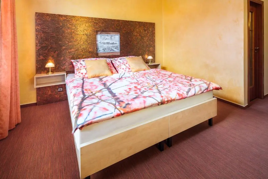 Standard Double room (full double bed)