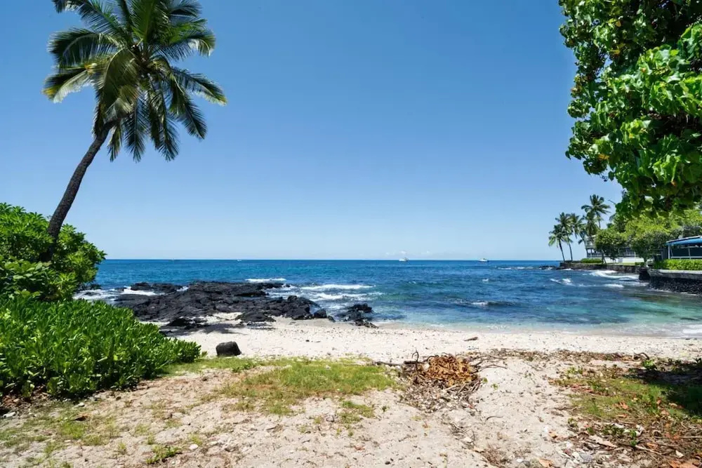 Kona Islander - Général