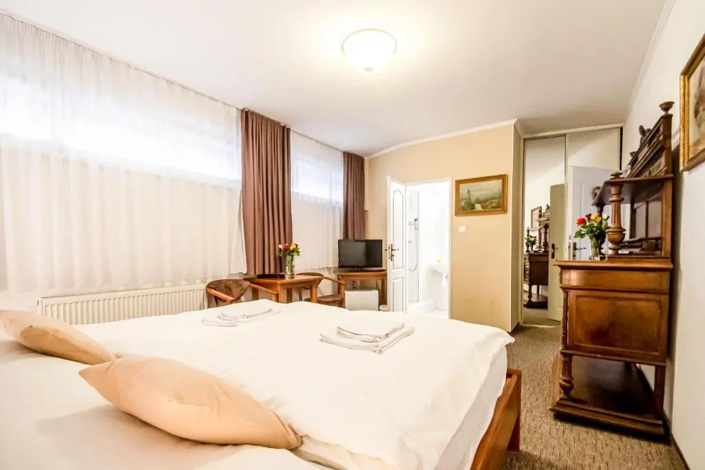 Standard Double room (full double bed)