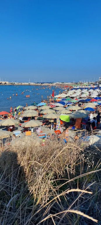Beach & Waterfront